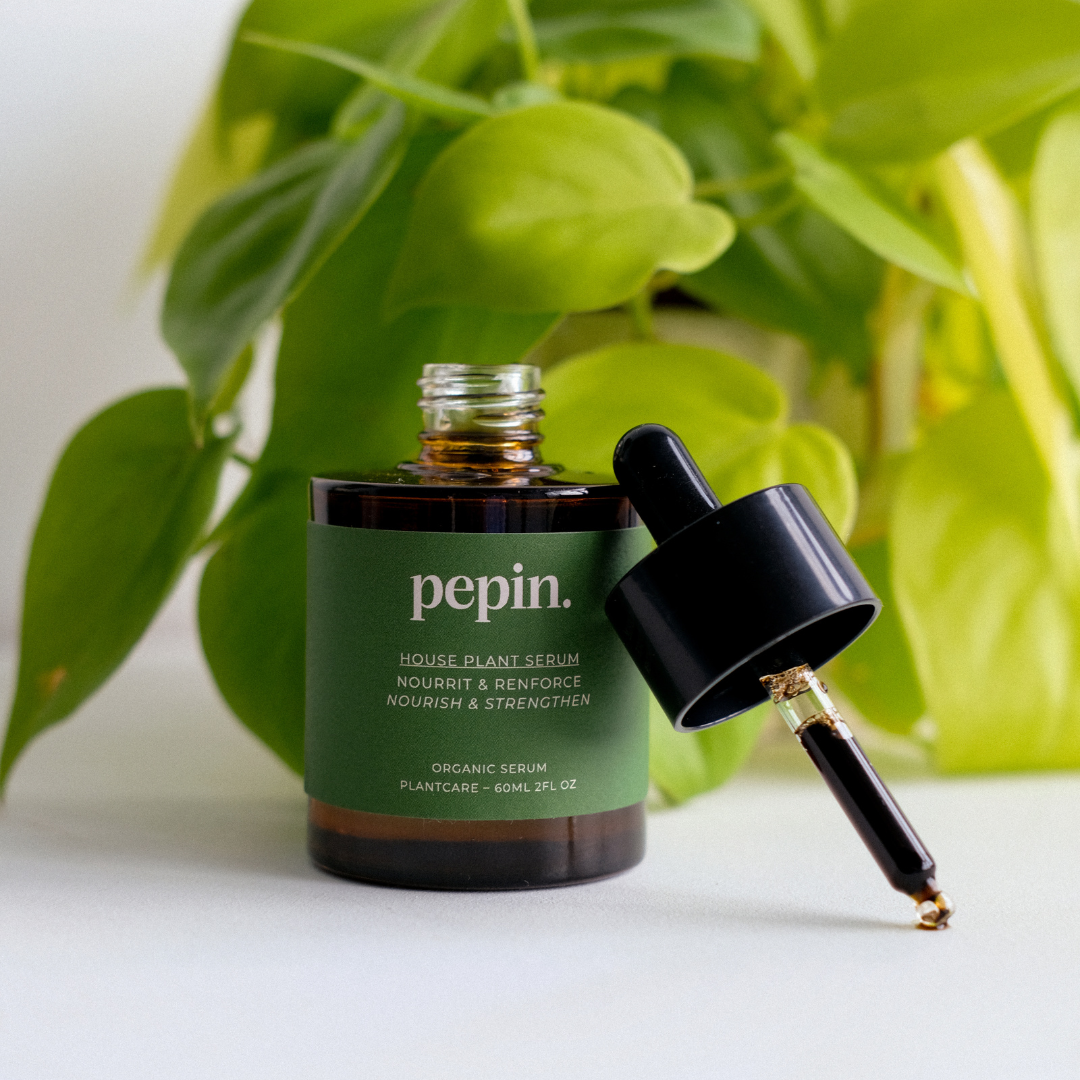 Pepin Houseplant Serum