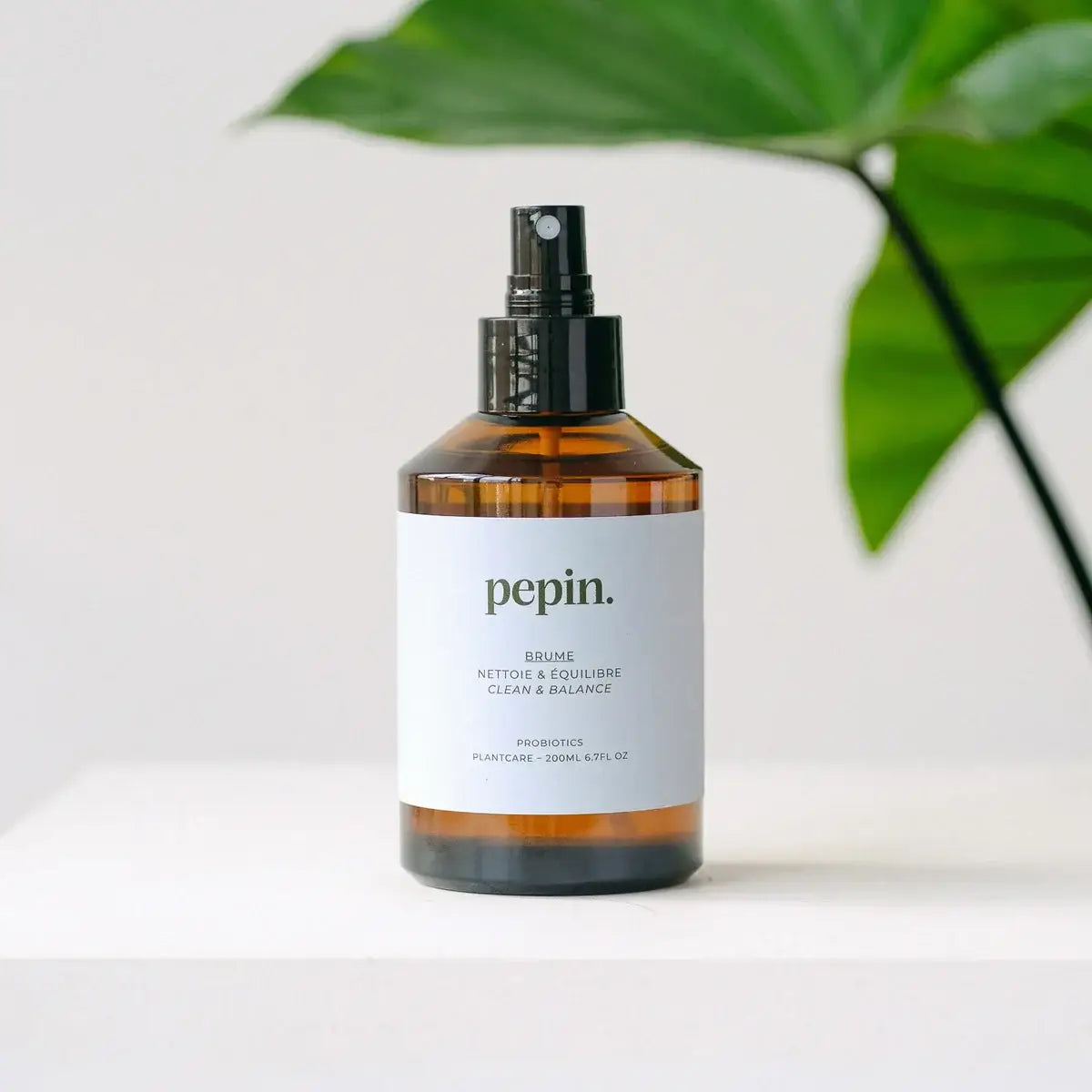 Pepin Cleaning Brume