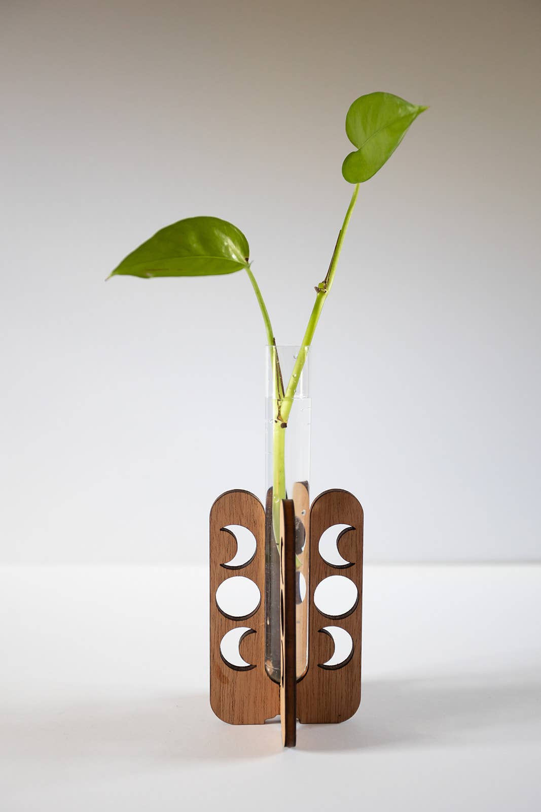 Moon Phase Tabletop Propagation Station