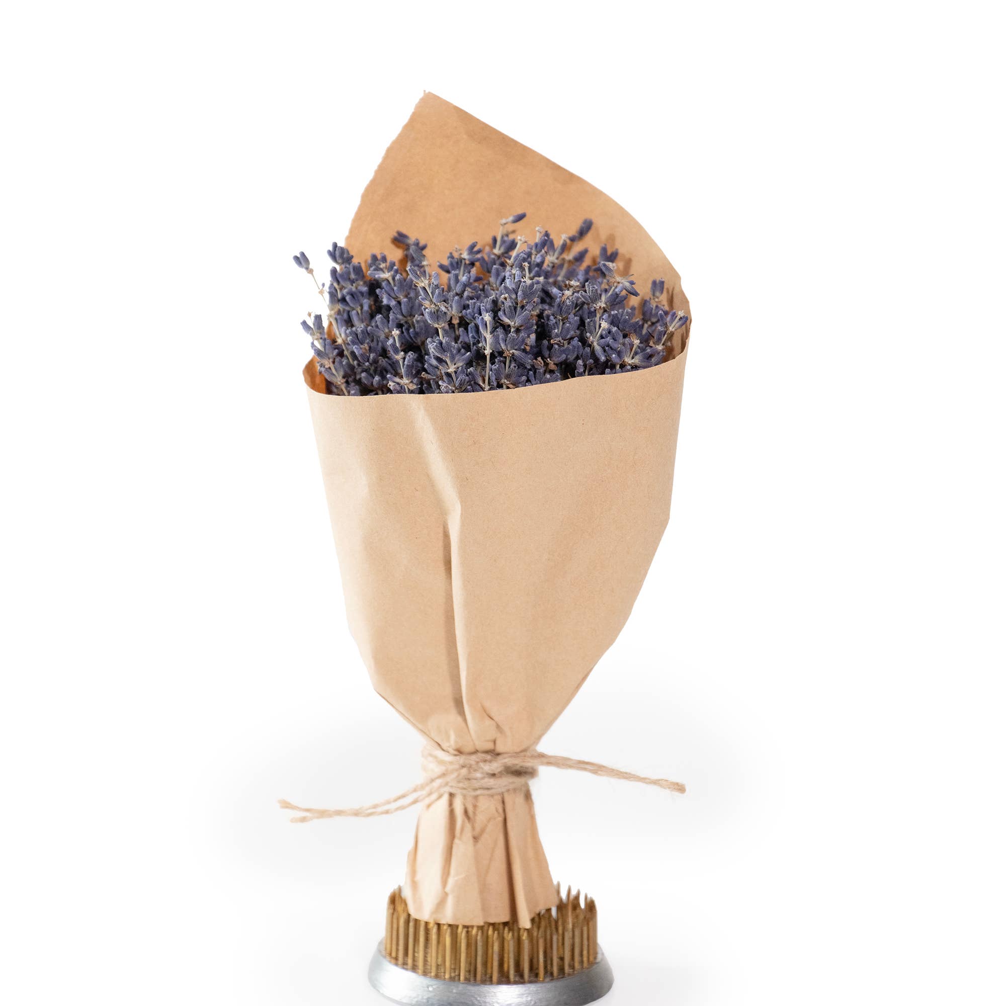 Andaluca- MINI French Lavender Bundle