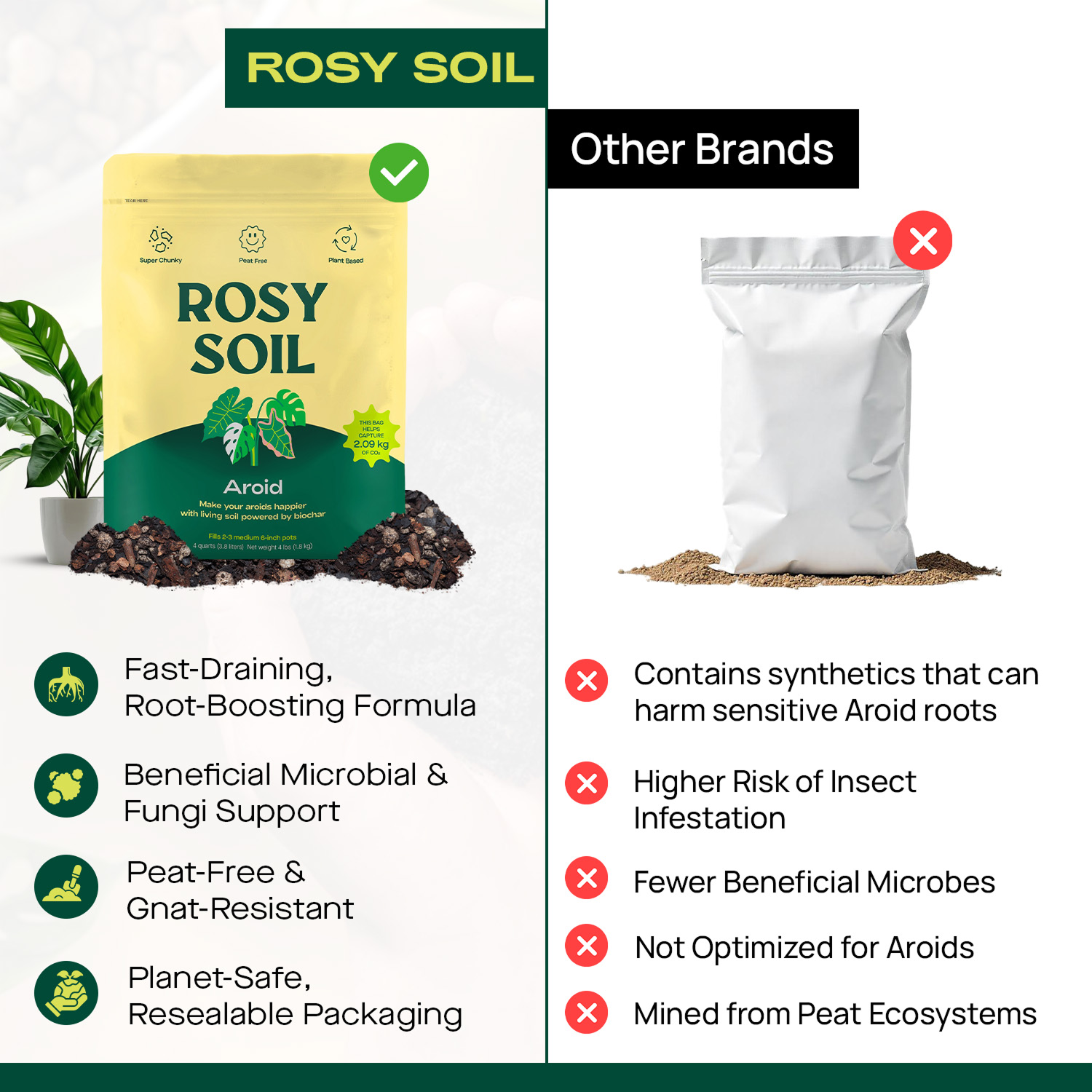Rosy Soil Aroid Mix