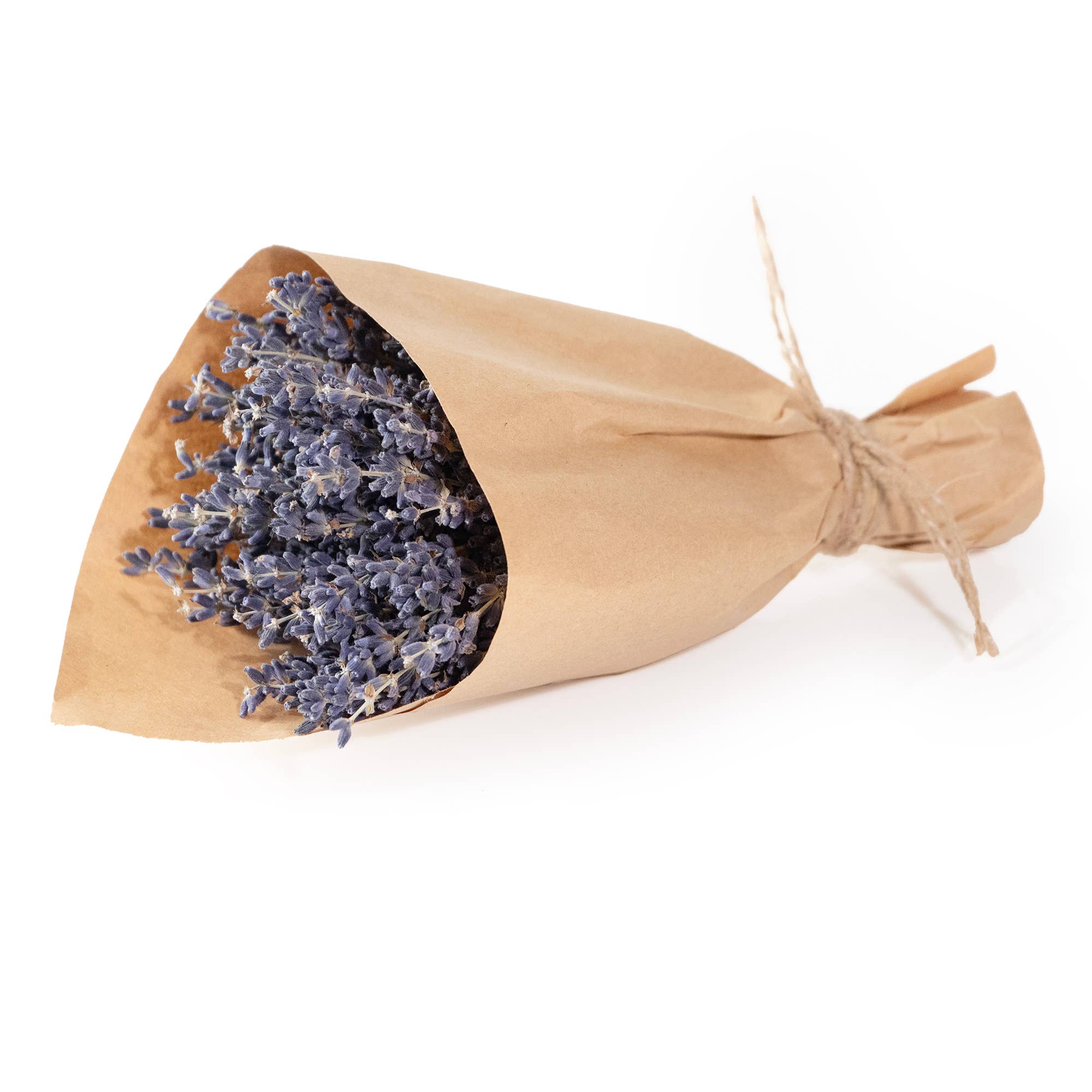 Andaluca- MINI French Lavender Bundle