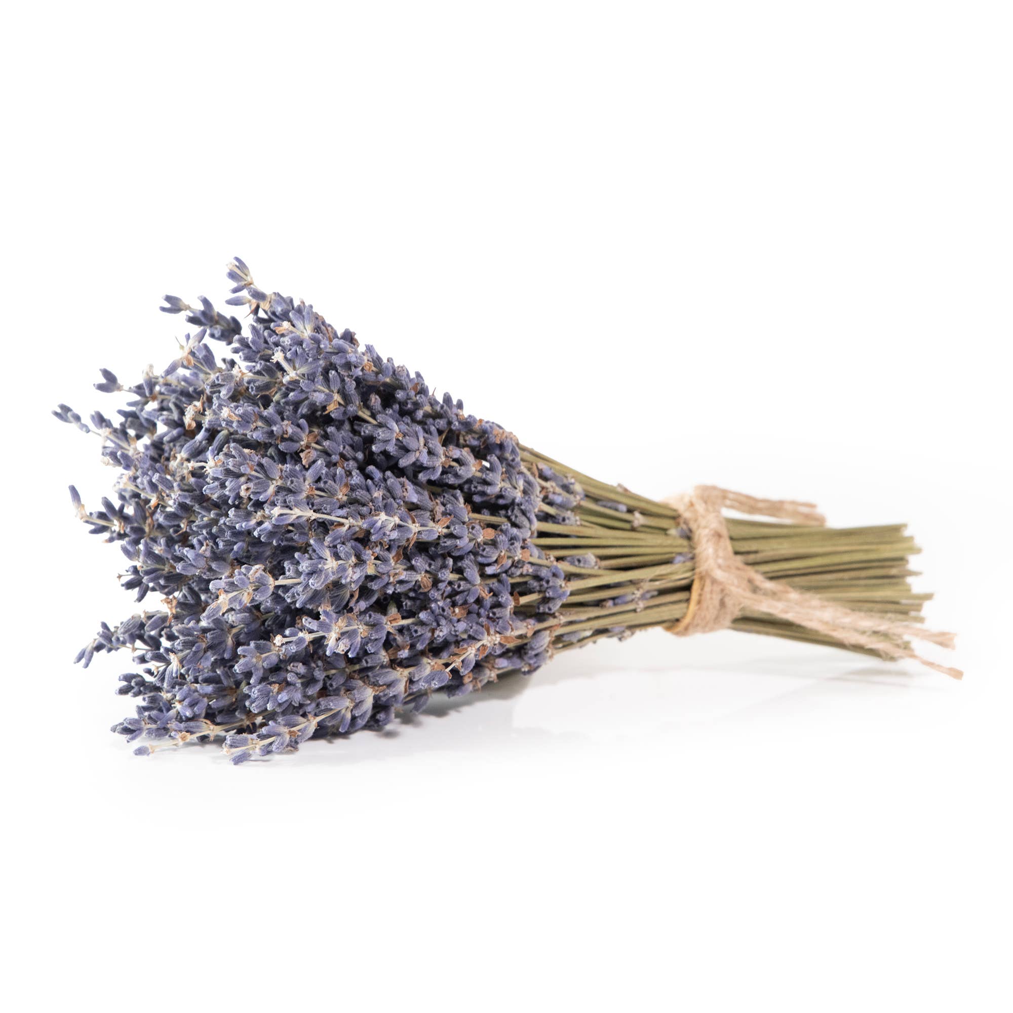 Andaluca- MINI French Lavender Bundle