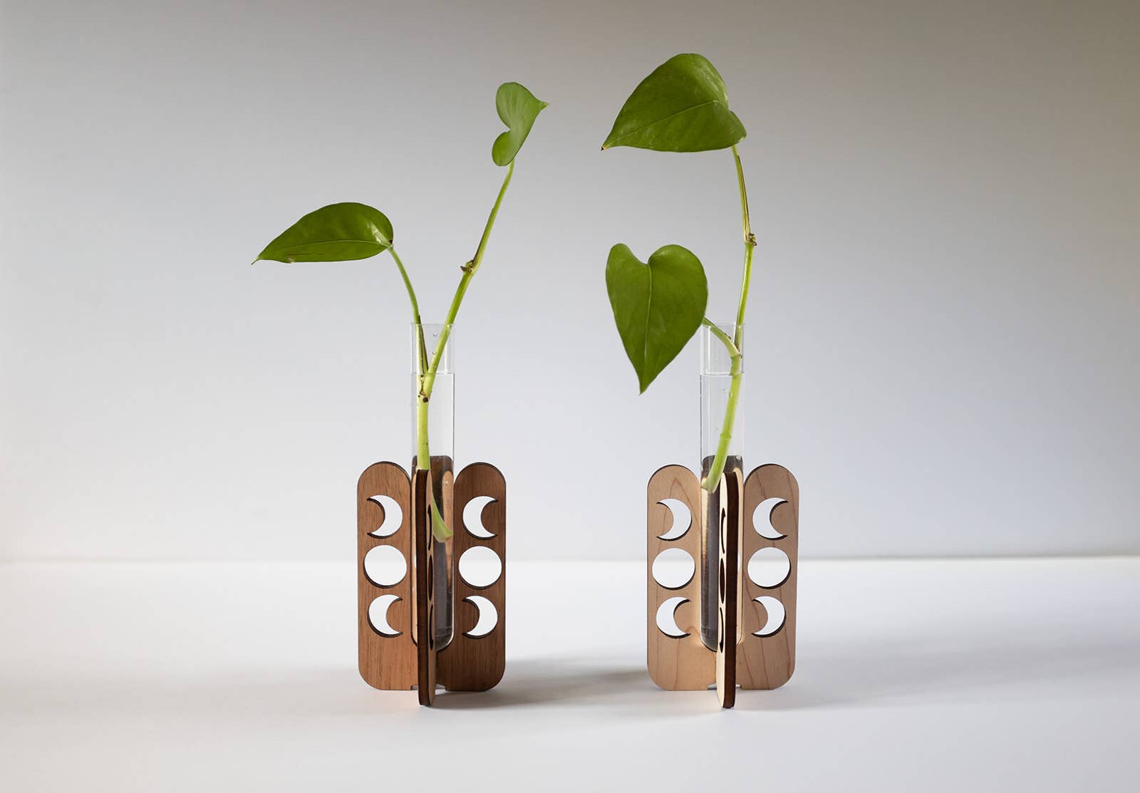 Moon Phase Tabletop Propagation Station