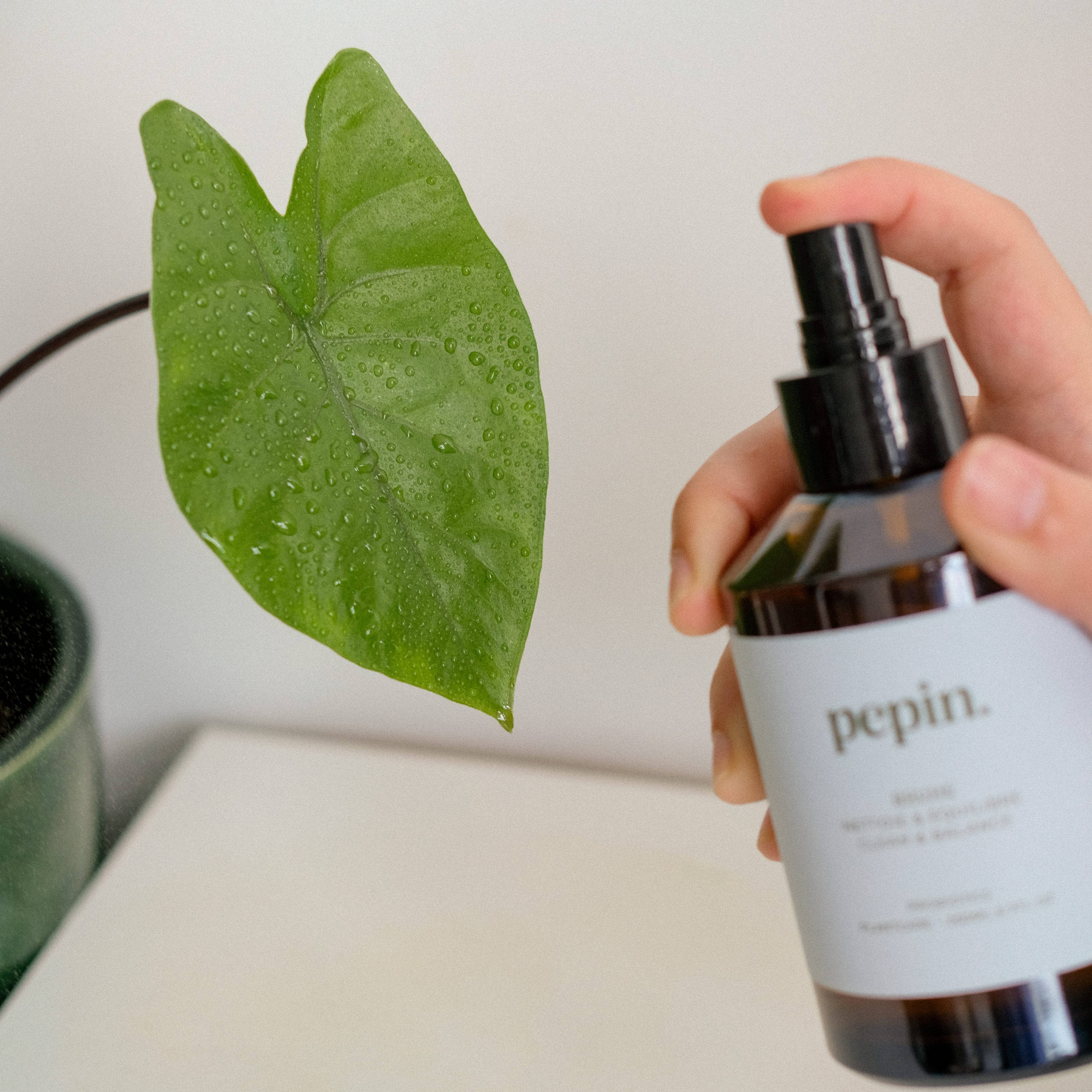 Pepin Cleaning Brume