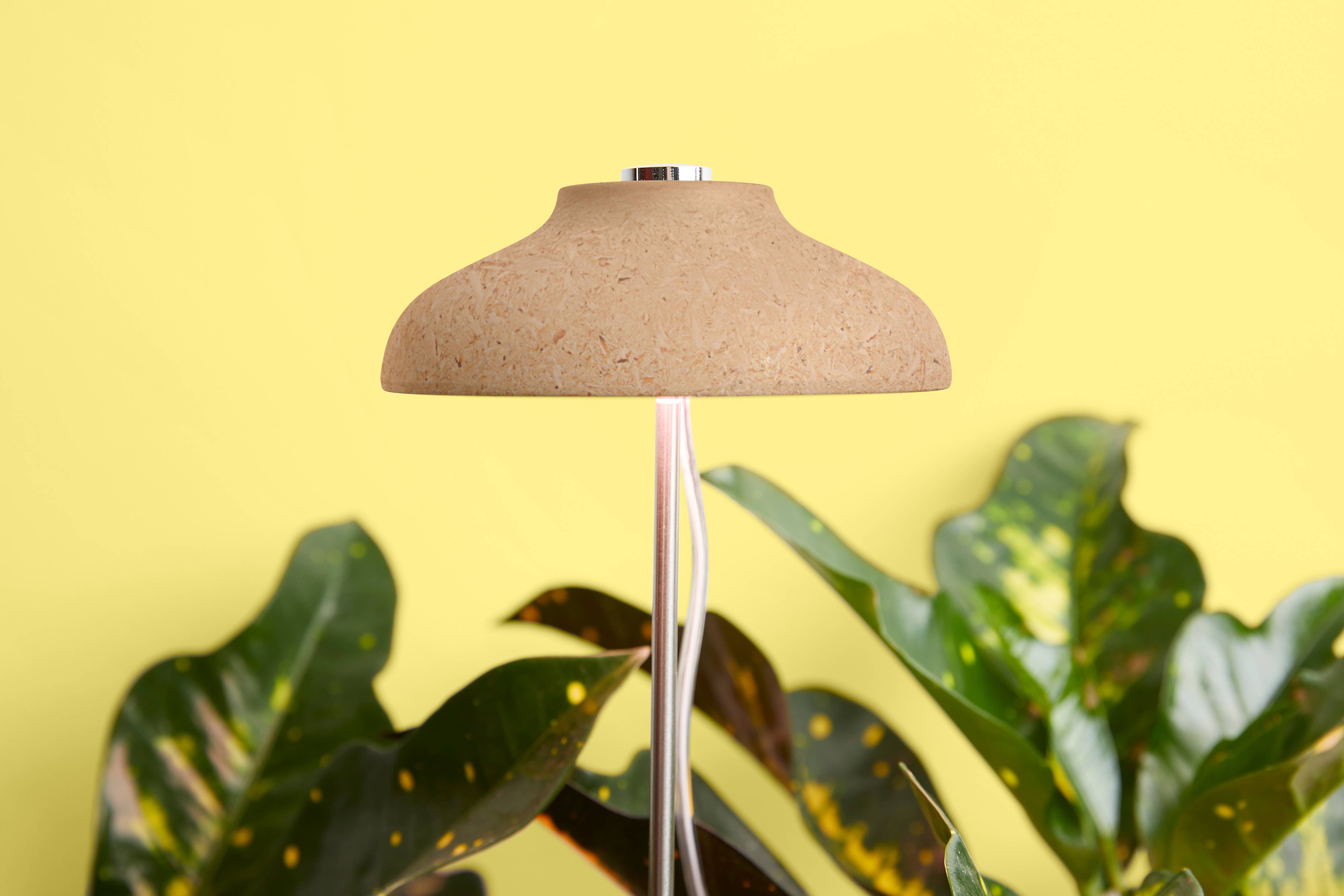 Instant Sun Grow Lamp
