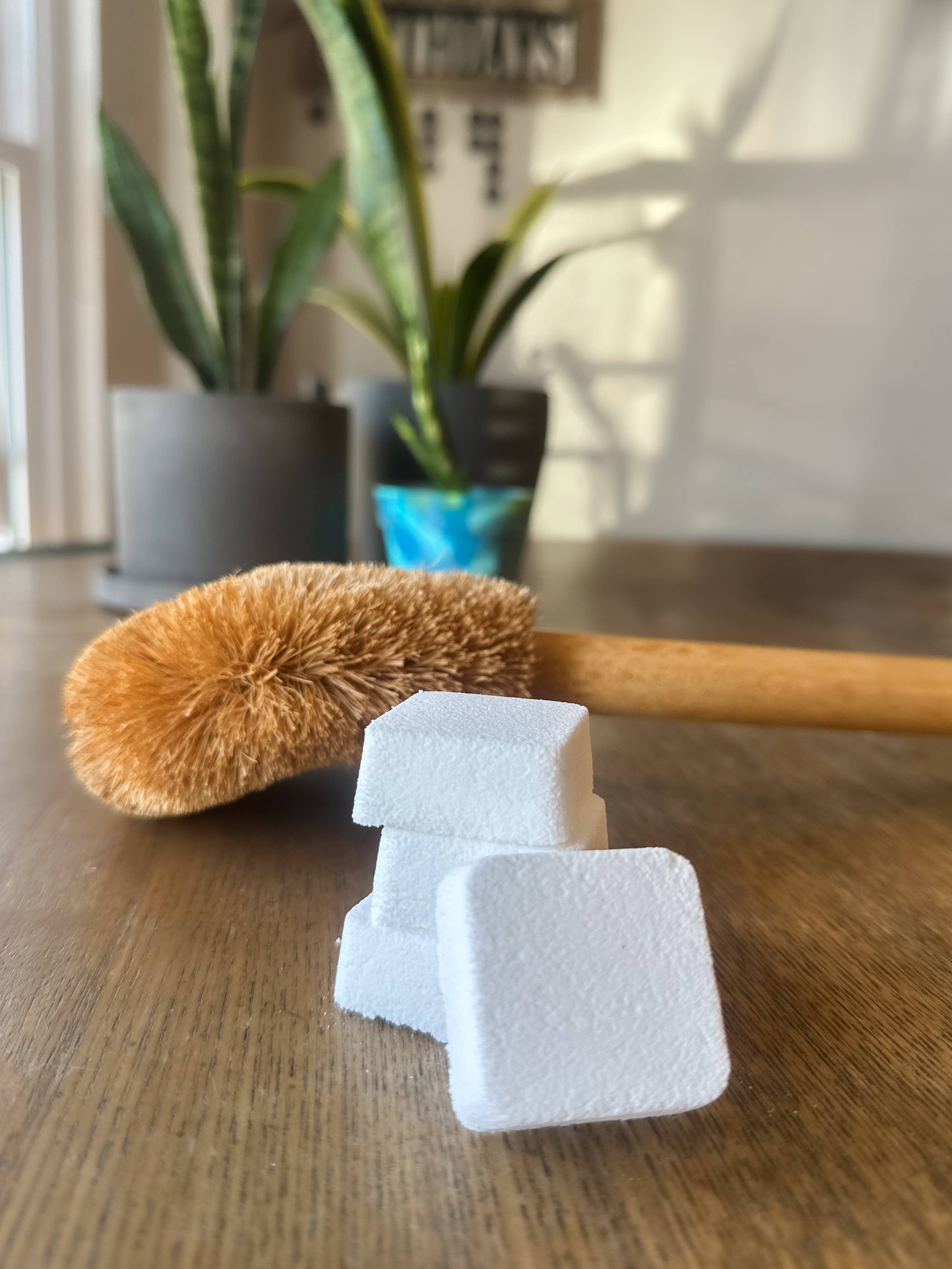 Clever Suds Toilet Cleaning Tablets