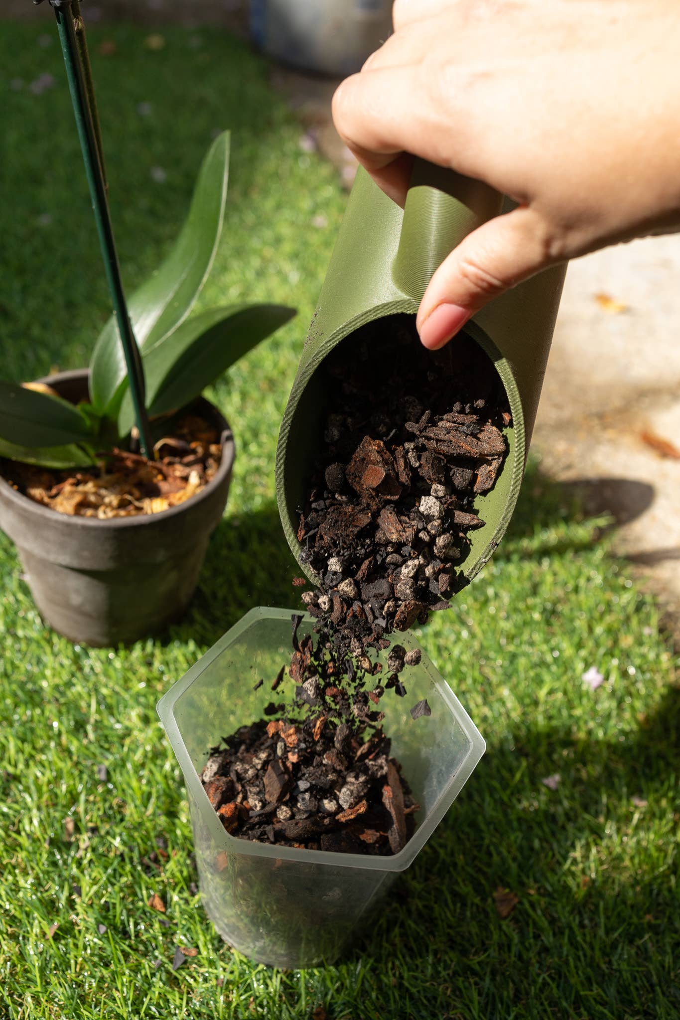 Rosy Soil 4qt Orchid Mix