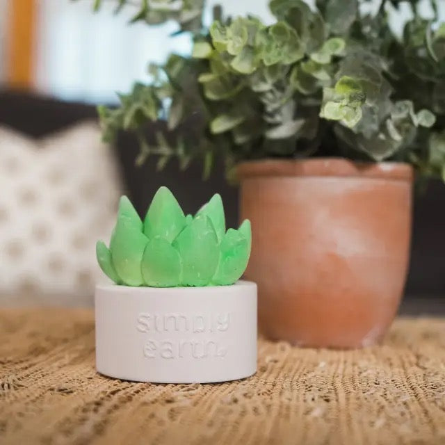 ceramic succulent diffuser young living Simply Earth