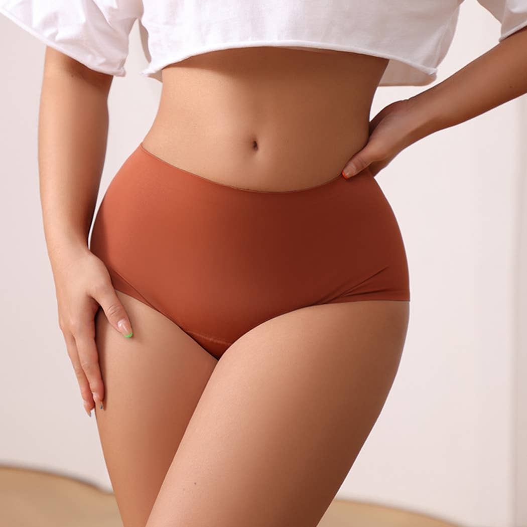 Curvy Fix- Super Absorbency High-Waist Brief Period Underwear