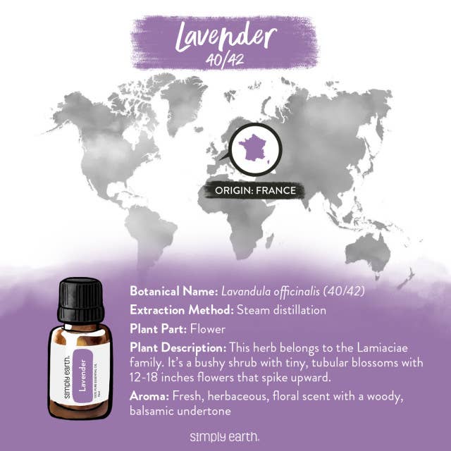 Simply Earth Lavender 40/42 Essential Oil Blend