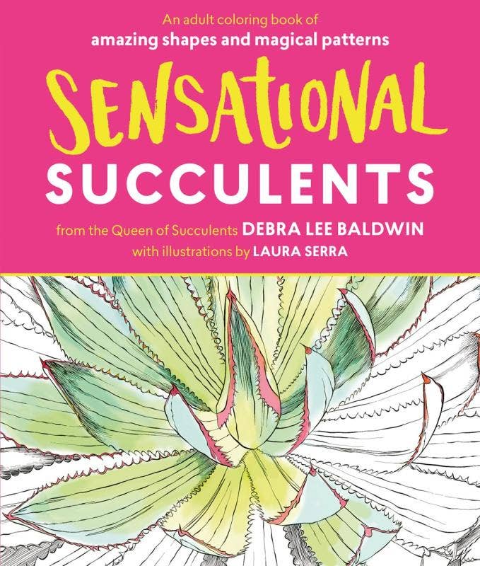 adult succulents Sensational Succulents: An Adult Coloring Book