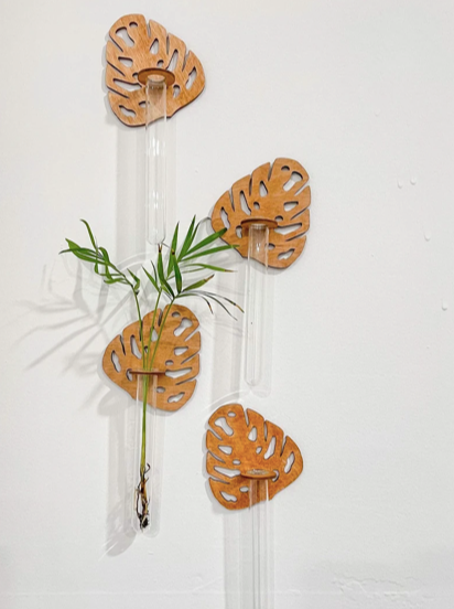 test tube plant hanger Test Tube Propagation Hanger