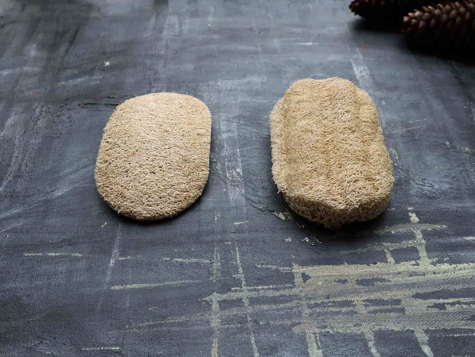 Plantish Loofah Dishwashing Sponge