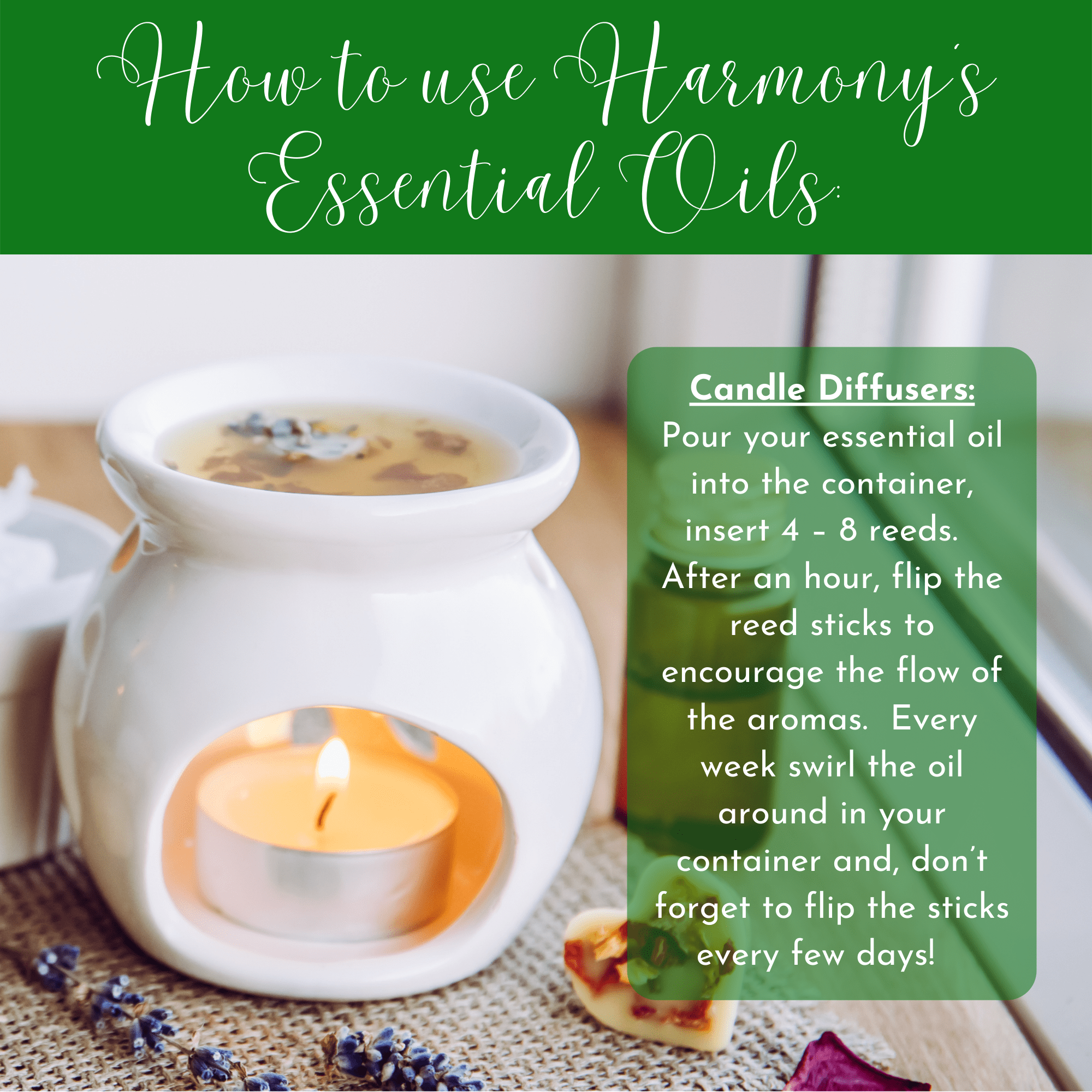 H.E.A.L.'s Essential Oils - Ginger