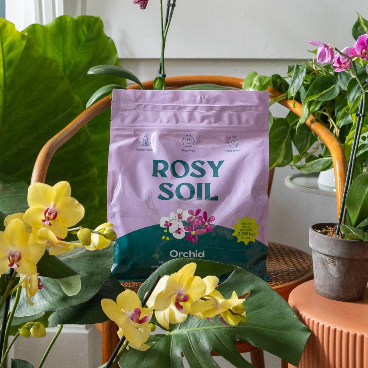 Rosy Soil 4qt Orchid Mix