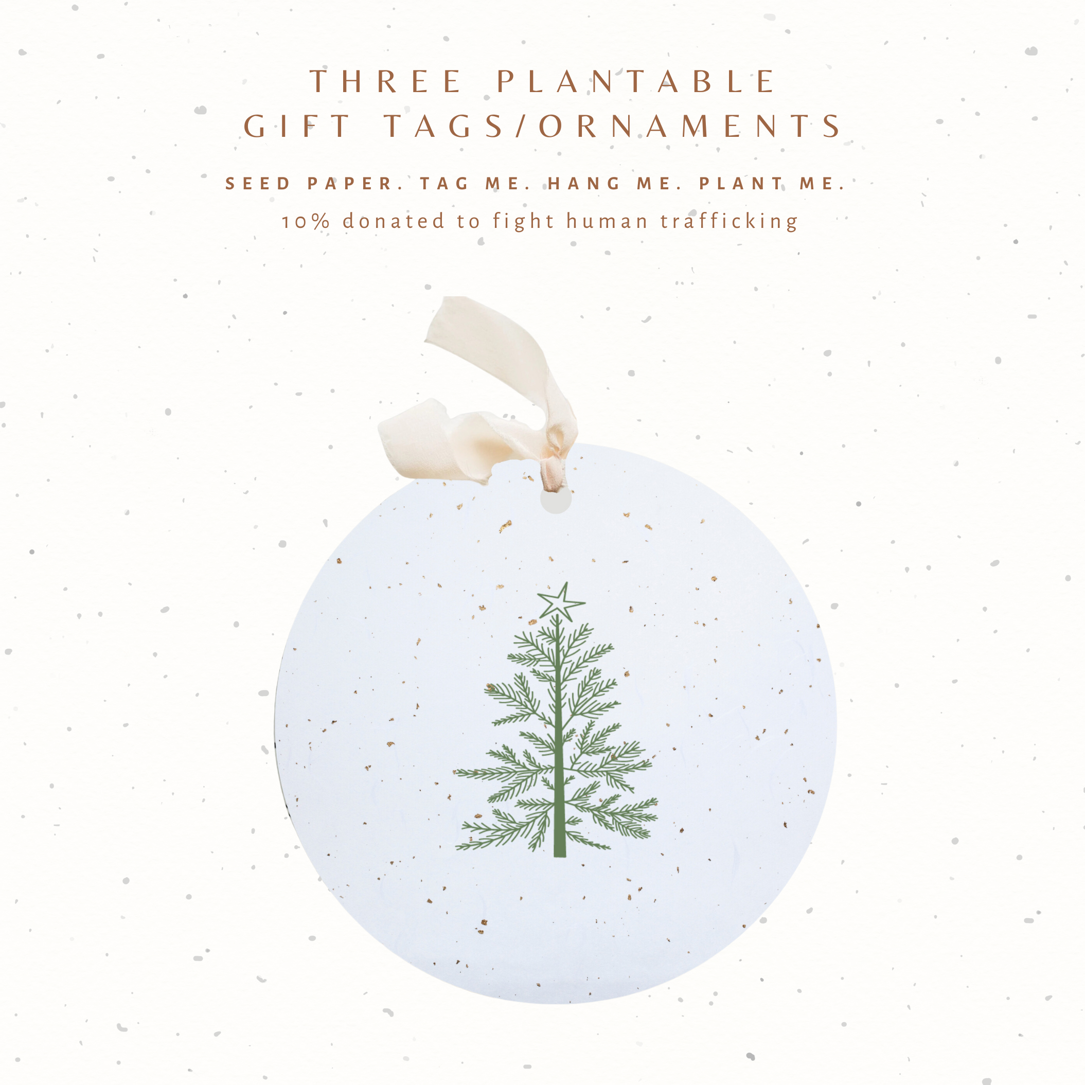 Plantable Seed Gift Tags / Ornaments Set of 3 CHRISTMAS TREE