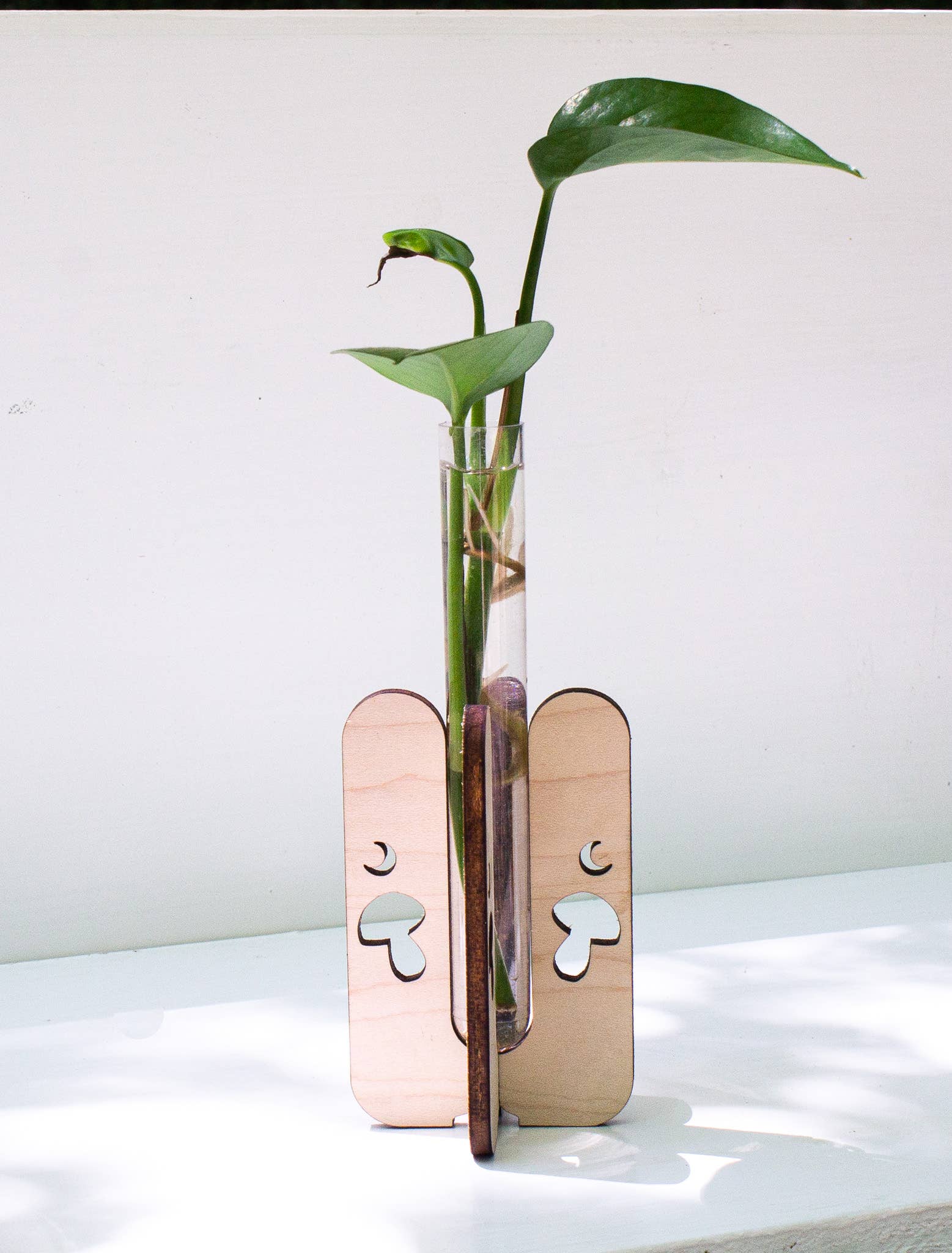 Mushroom Tabletop Propagation Station