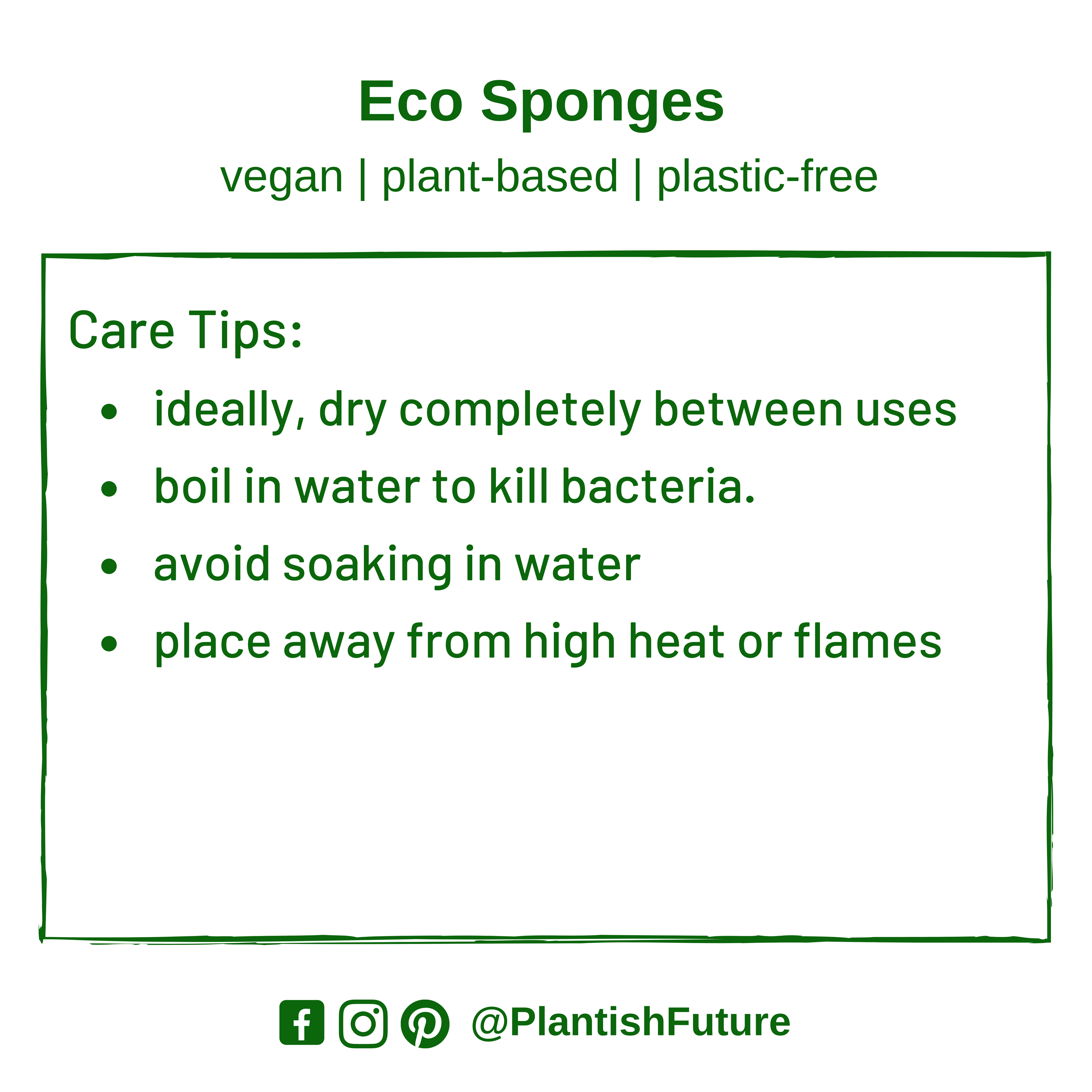 Eco Sponge