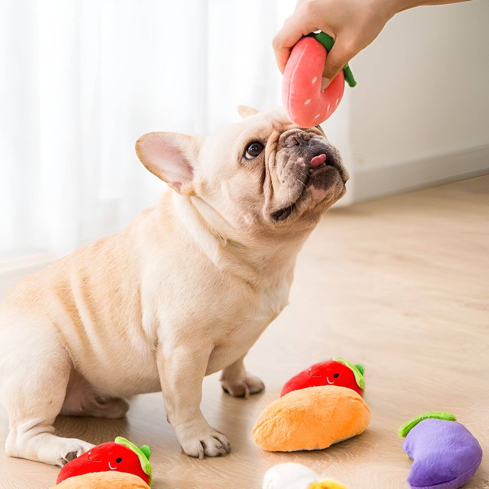 Cheerhunting Petkin - Fruit Dog/Cat Chew Toy