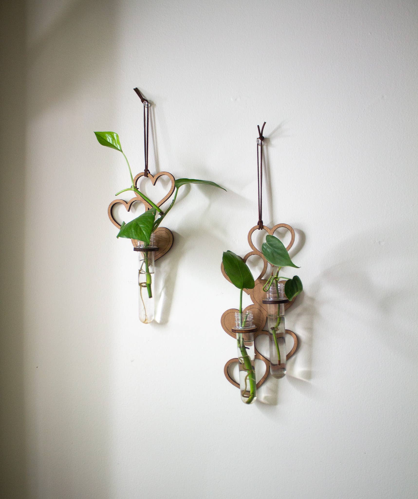 2 Tube Heart Hanging Propagation Station