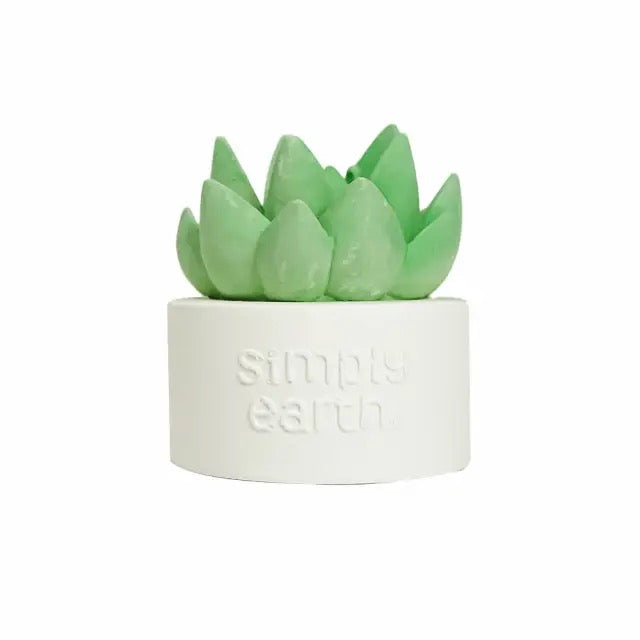 Simply Earth - Succulent Essential Oil Diffuser