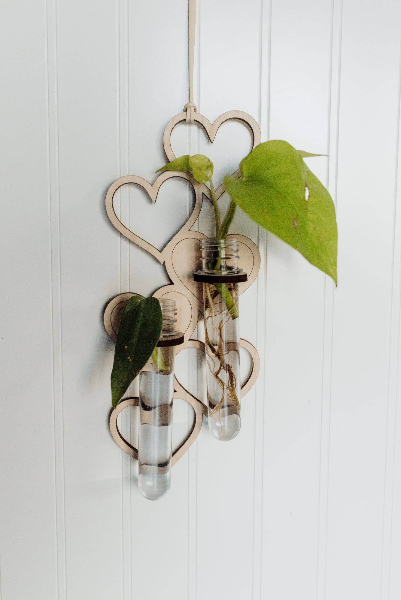 2 Tube Heart Hanging Propagation Station