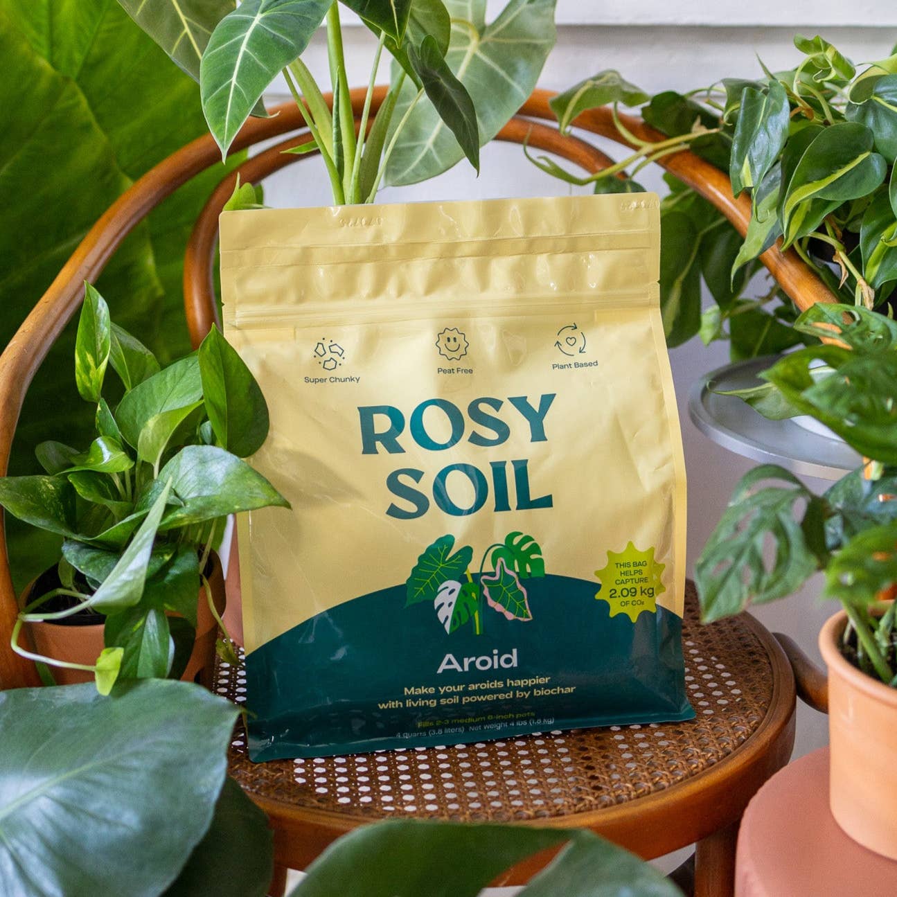 Rosy Soil  Aroid Mix