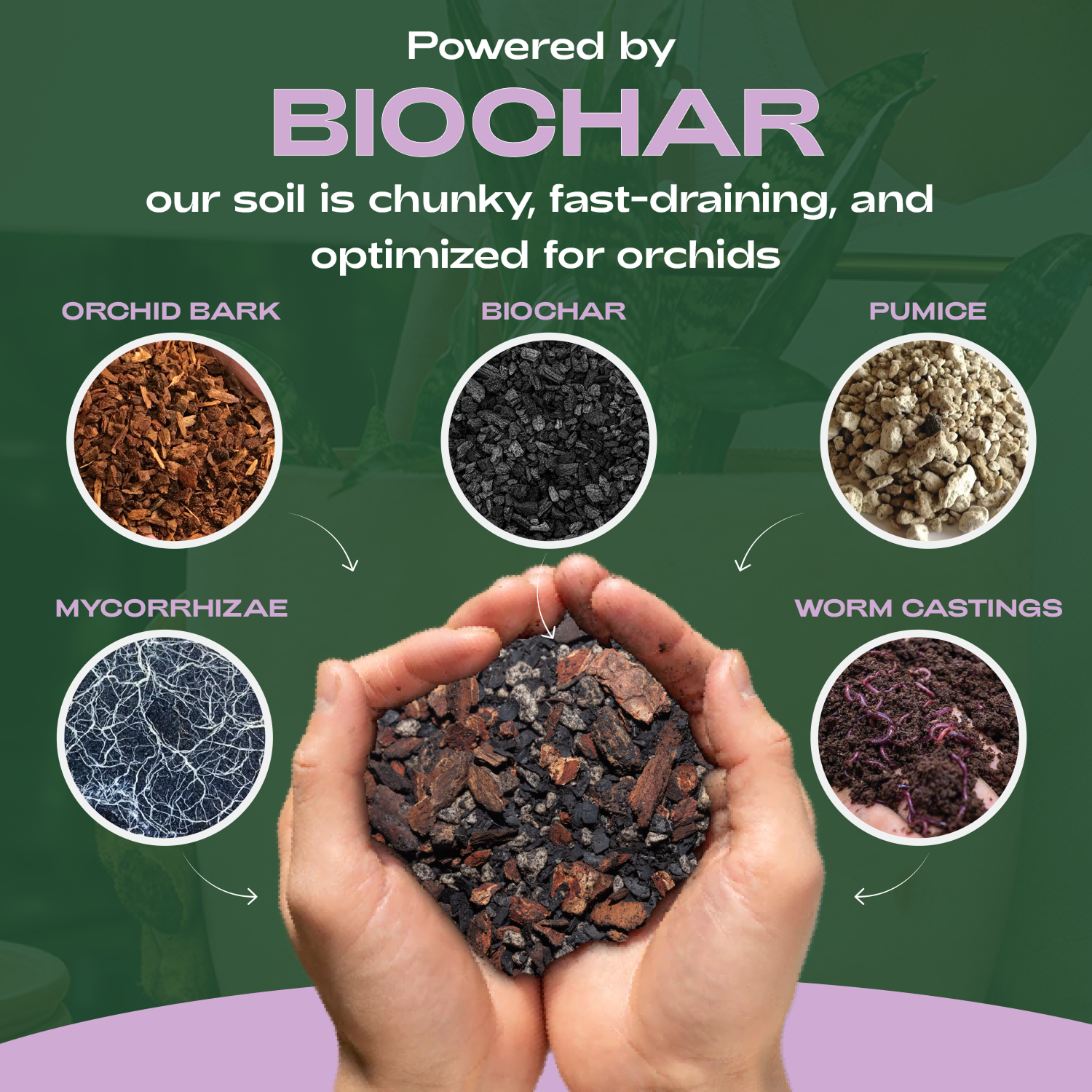 Rosy Soil 4qt Orchid Mix