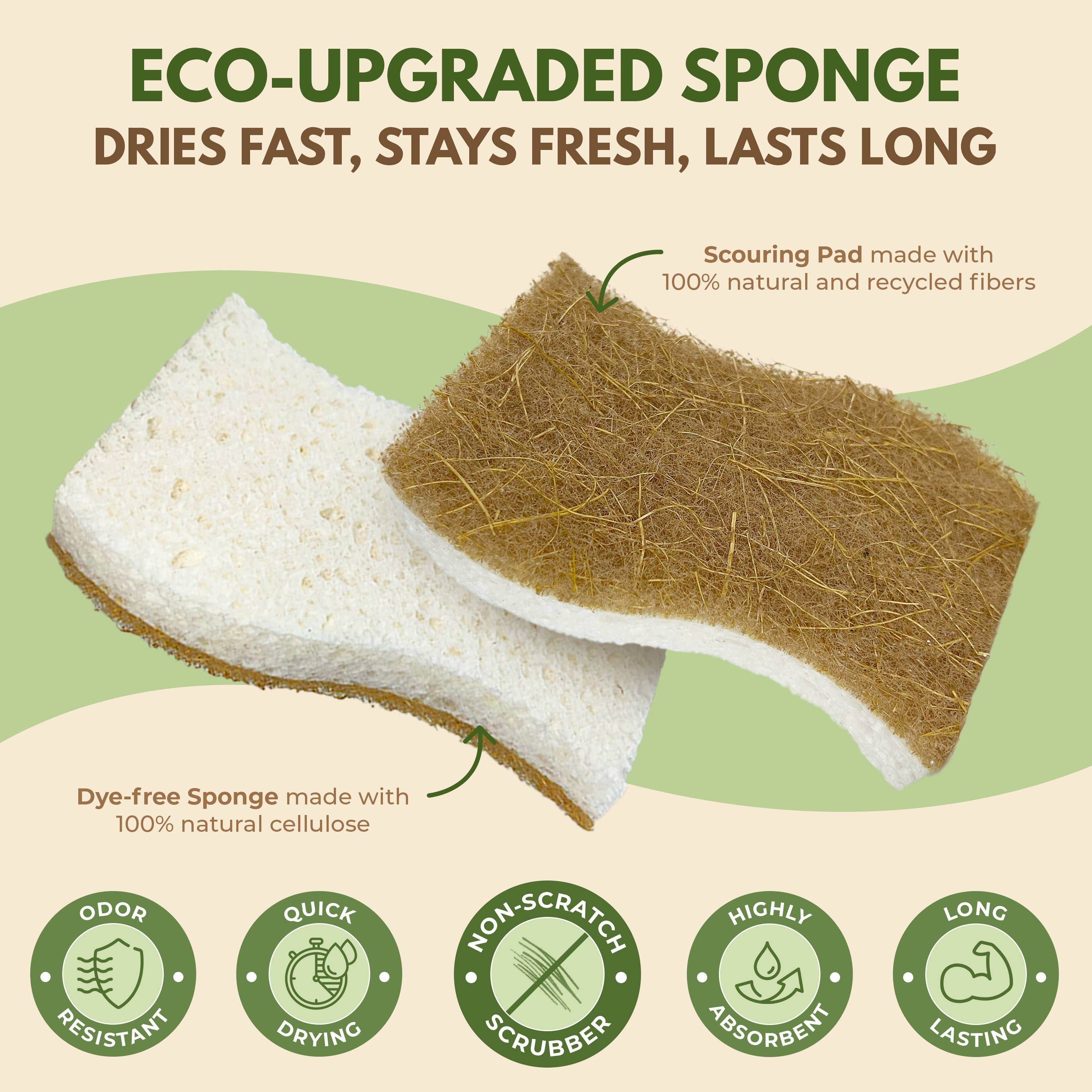Eco Friendly Sponges for Cleaning - 2 Pack Dish Sponges