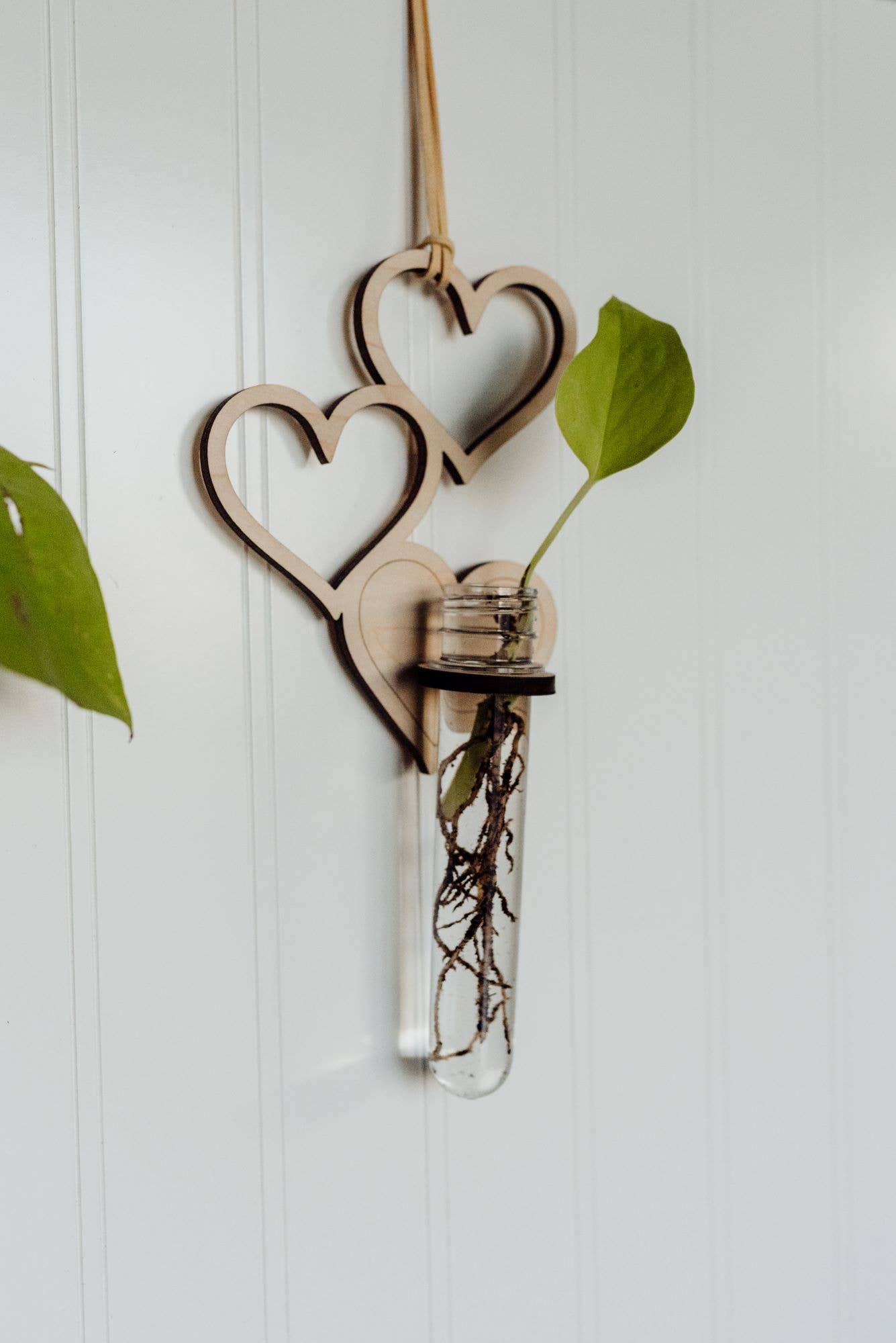 1 Tube Heart Hanging Propagation Station