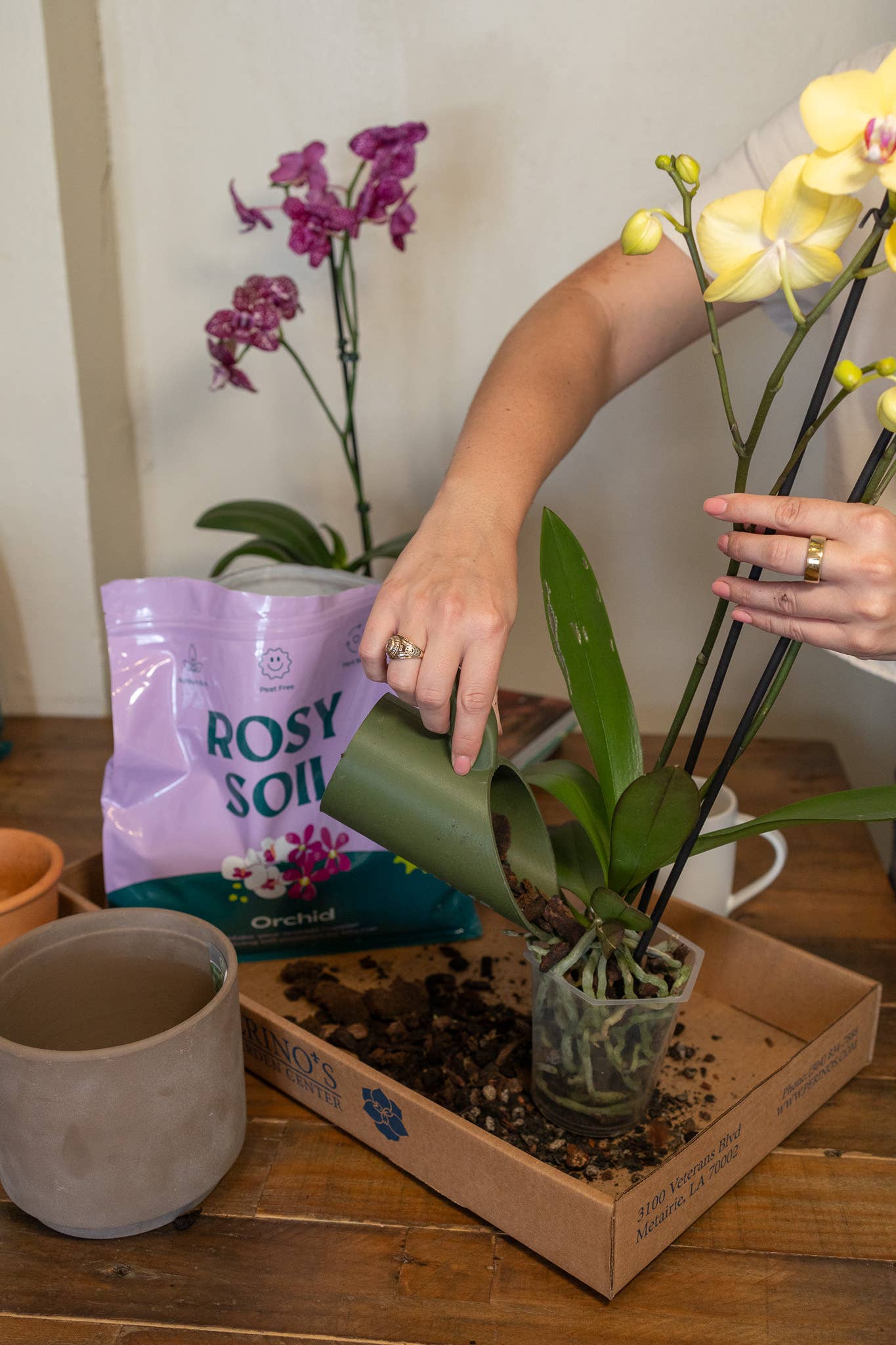Rosy Soil 4qt Orchid Mix