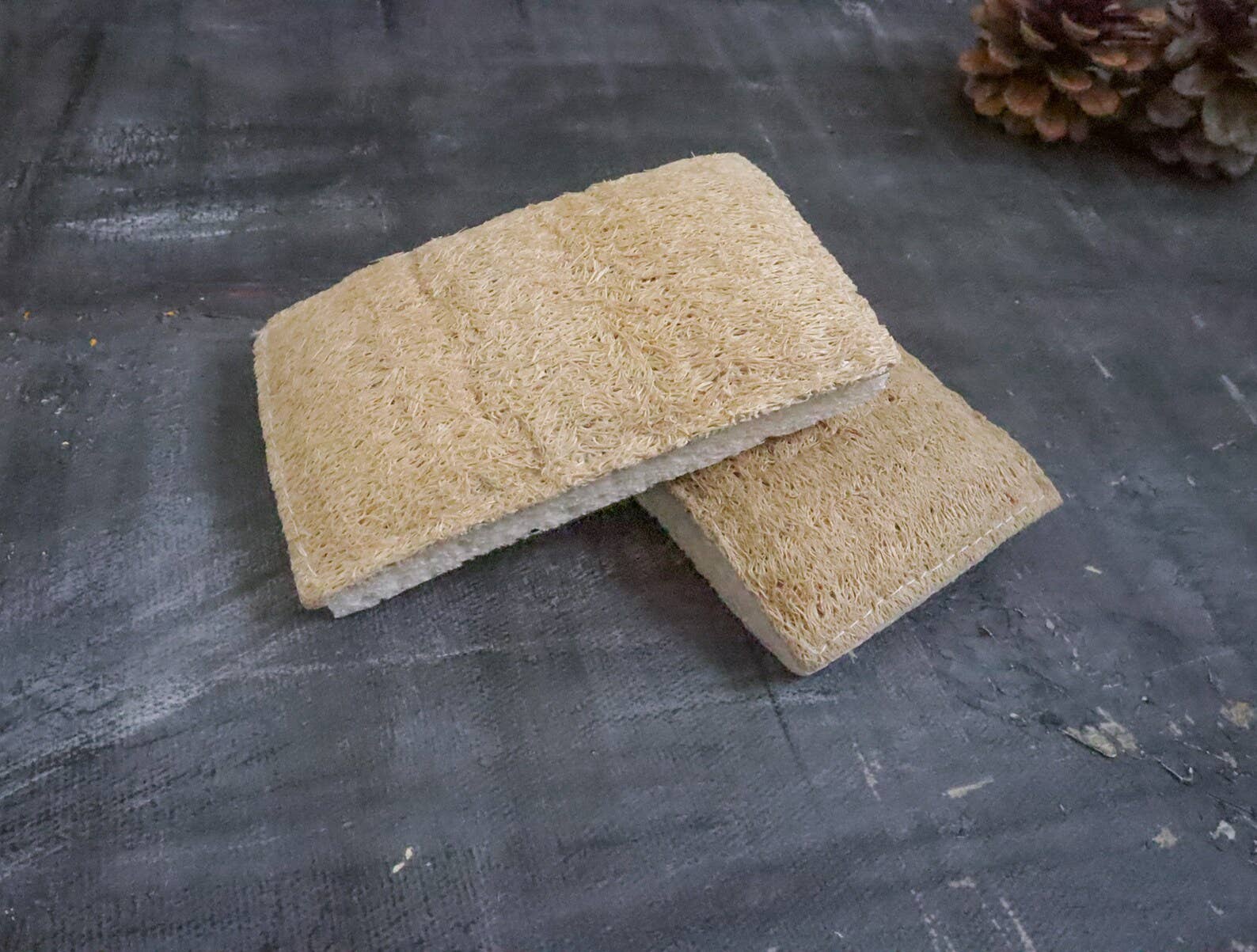 Eco Sponge