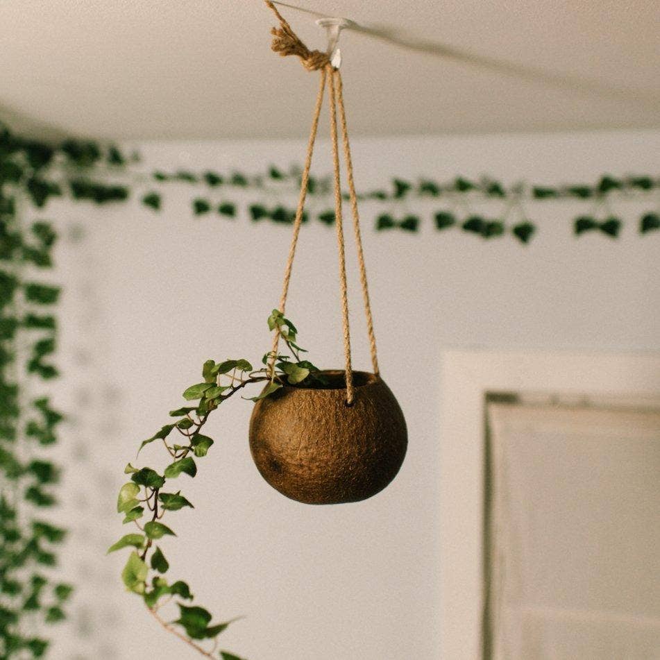 Hanging Coconut Planter Patio Decor | Plant Lover Bestseller